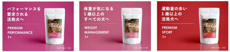 INUMESHIフィースト_パフォーマンス