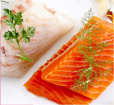 エッセンシャルドッグフード_主原料