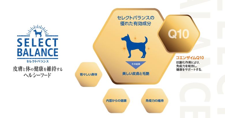 セレクトドッグフード_コエンザイムQ10