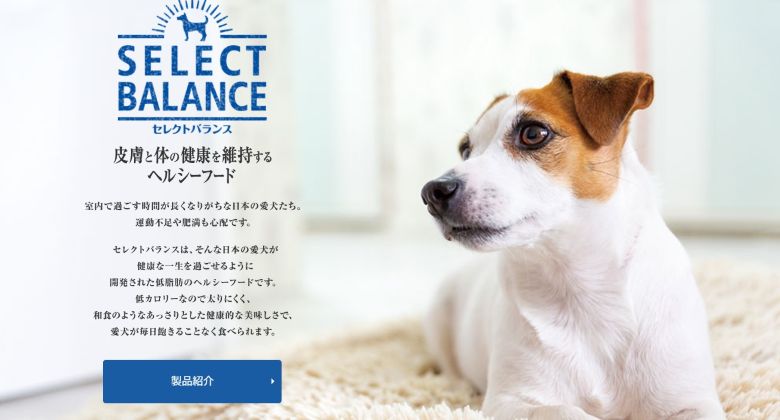 セレクトドッグフード_トップ
