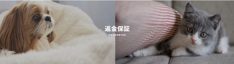 セレクトバランス返金保証