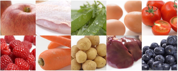 ナウ フレッシュ原材料