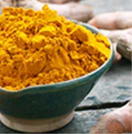 プラペドッグフード_ウコン