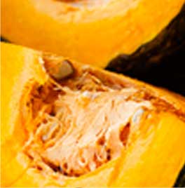 プラペドッグフード_カボチャ