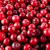 プラペドッグフード_クランベリー