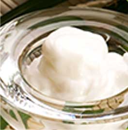 プラペドッグフード_ココナッツオイル