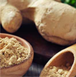 プラペドッグフード_ショウガ