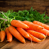 プラペドッグフード_ニンジン