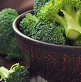 プラペドッグフード_ブロッコリー